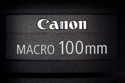 Canon-100mm-L-Macro-detail-1